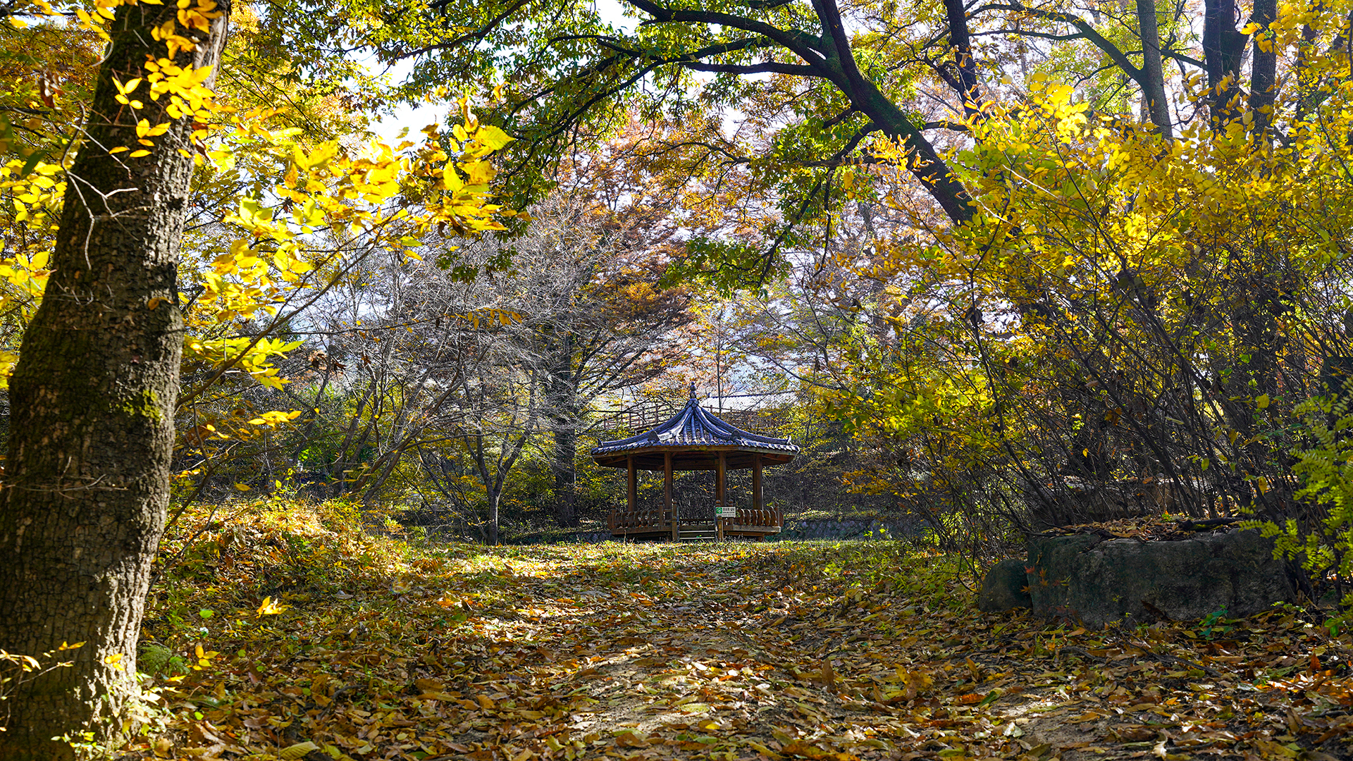 동호숲
